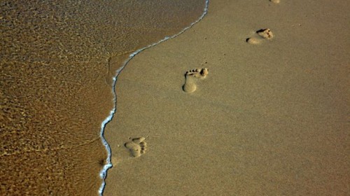 PAS DANS LE SABLE